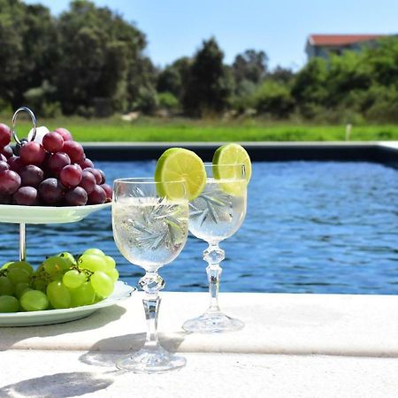 Apartments Vesna زاتون المظهر الخارجي الصورة